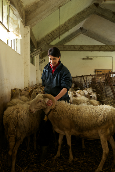azienda agricola boccea patrizia donna pastore