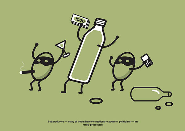 come produrre olio di oliva