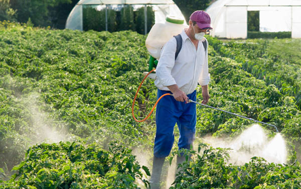 pesticidi in agricoltura ogm