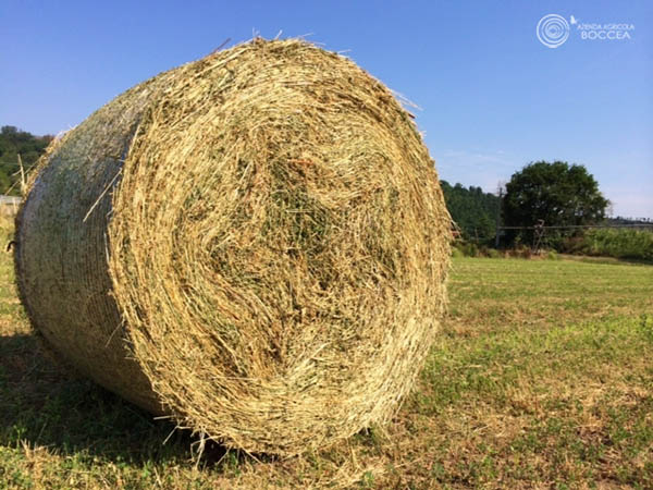 azienda agricola boccea balle di fieno