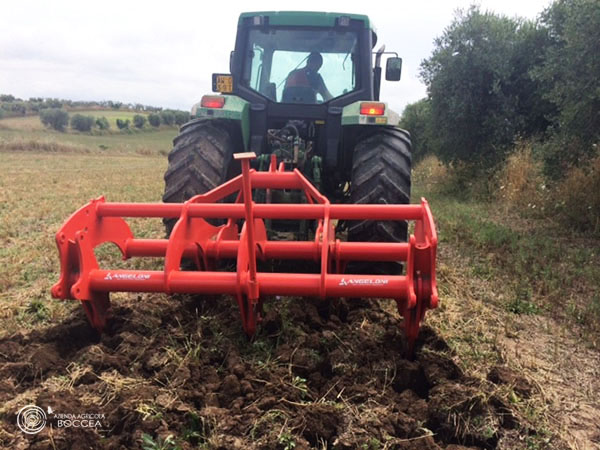 azienda agricola boccea_ripuntatore