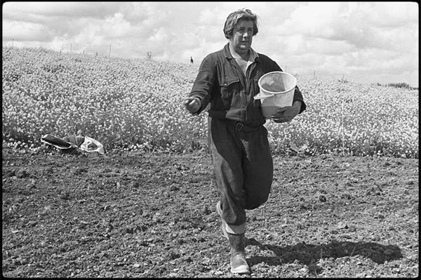 azienda agricola boccea-attenzione consapevoel cambiamenti climatici-agricoltura biologica biodinamica roma