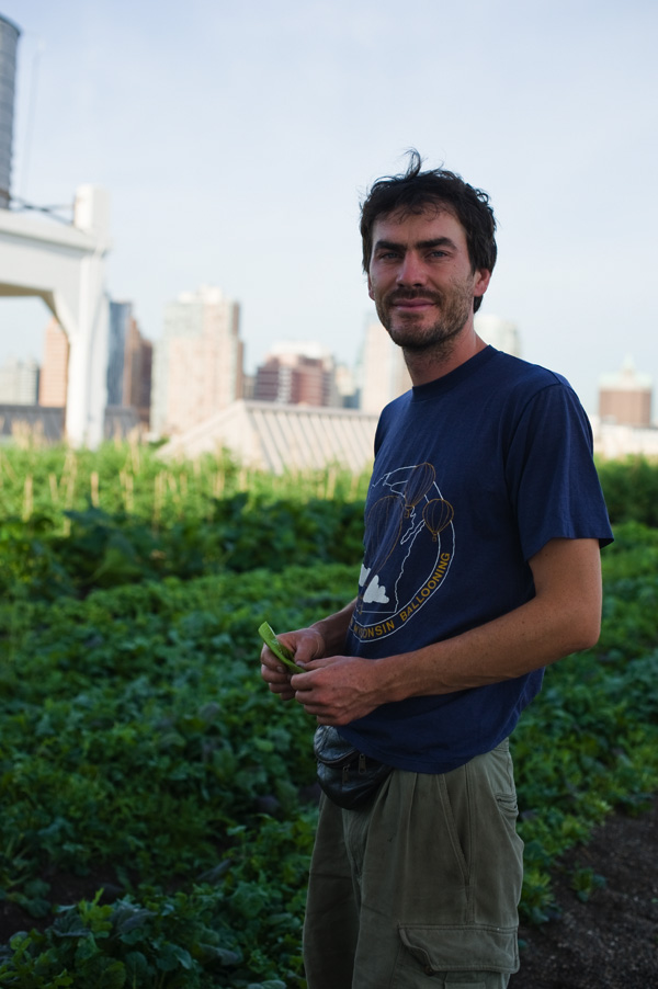 azienda-agricola-boccea-agricoltura-biologica-roma-brooklyn-grange_ben_flanner