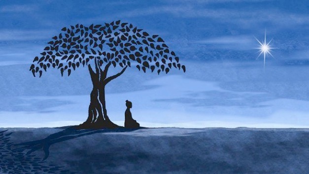 agricola-boccea-agricoltura-bio-roma-meditazione-yoga-buddha-