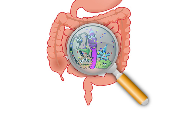 agricola-boccea-agricoltura-biologica-biodinamica-roma-microbioma-5