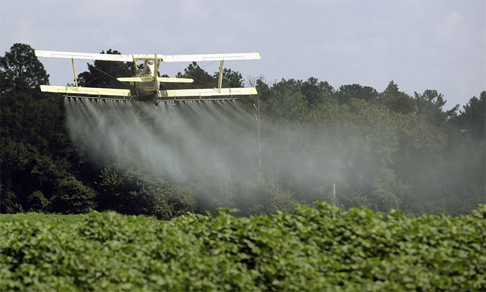 Cosa ci può Dire la Presenza di Pesticidi Nella nostra Urina Riguardo al Cibo Biologico?
