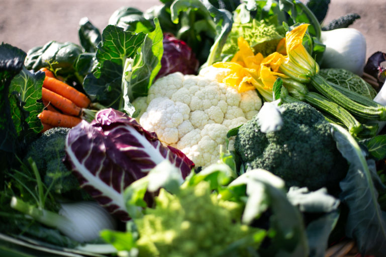MANGIARE PIU’ SANO PER LA NOSTRA SALUTE E PER QUELLA DELL’AMBIENTE