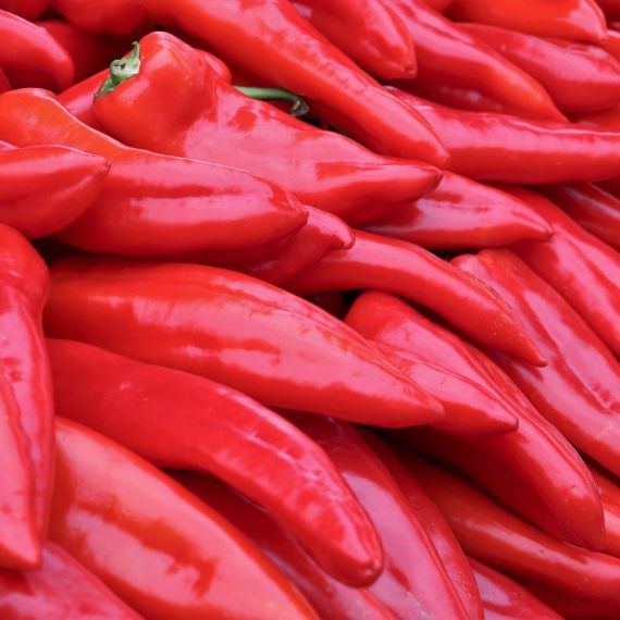 peperoni corno rosso