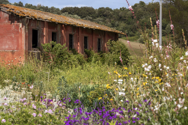 RESIDENZA SPAZIO GRIOT 2025 E OASI ARIA