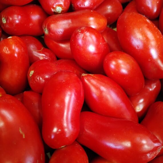 Pomodori san amrzano bio per passata